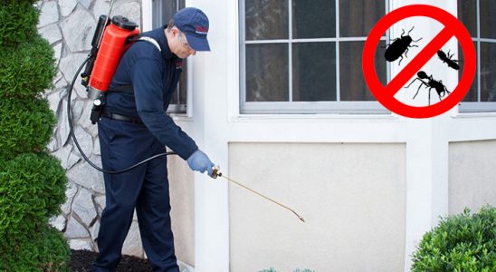 Yakutiye Kemirgen İlaçlama böcek ilaçlama ve haşere kontrolü — ilaclama-tr.com